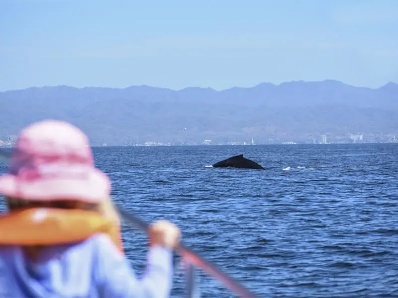 Explora Vallarta Staff - Marine Biologists
