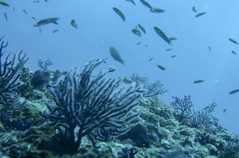 Underwater rock formations at Mismaloya