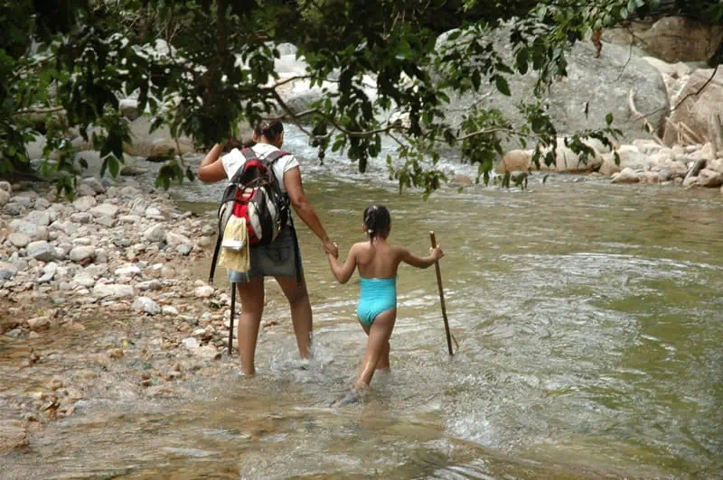 Exotic flora Vallarta