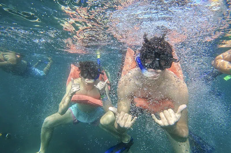 Tourists snorkeling with biologists